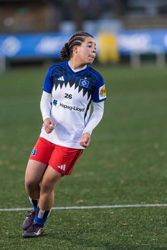 Bild 450 - wBJ Hamburger SV - Holstein Kiel : Ergebnis: 8:0
